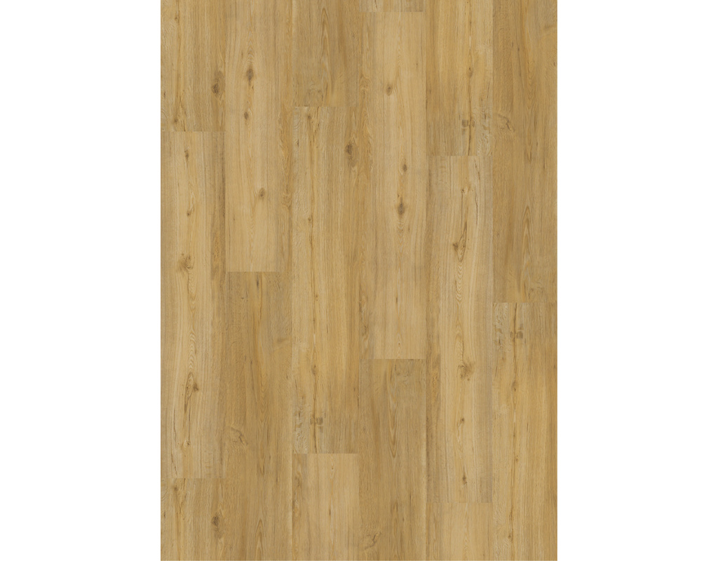 Ziro Vinyl Basic HDF - Vinyl auf HDF-Klick Natureiche Alessio Klick-Verlegung - wohnfertig, Kl 23/32