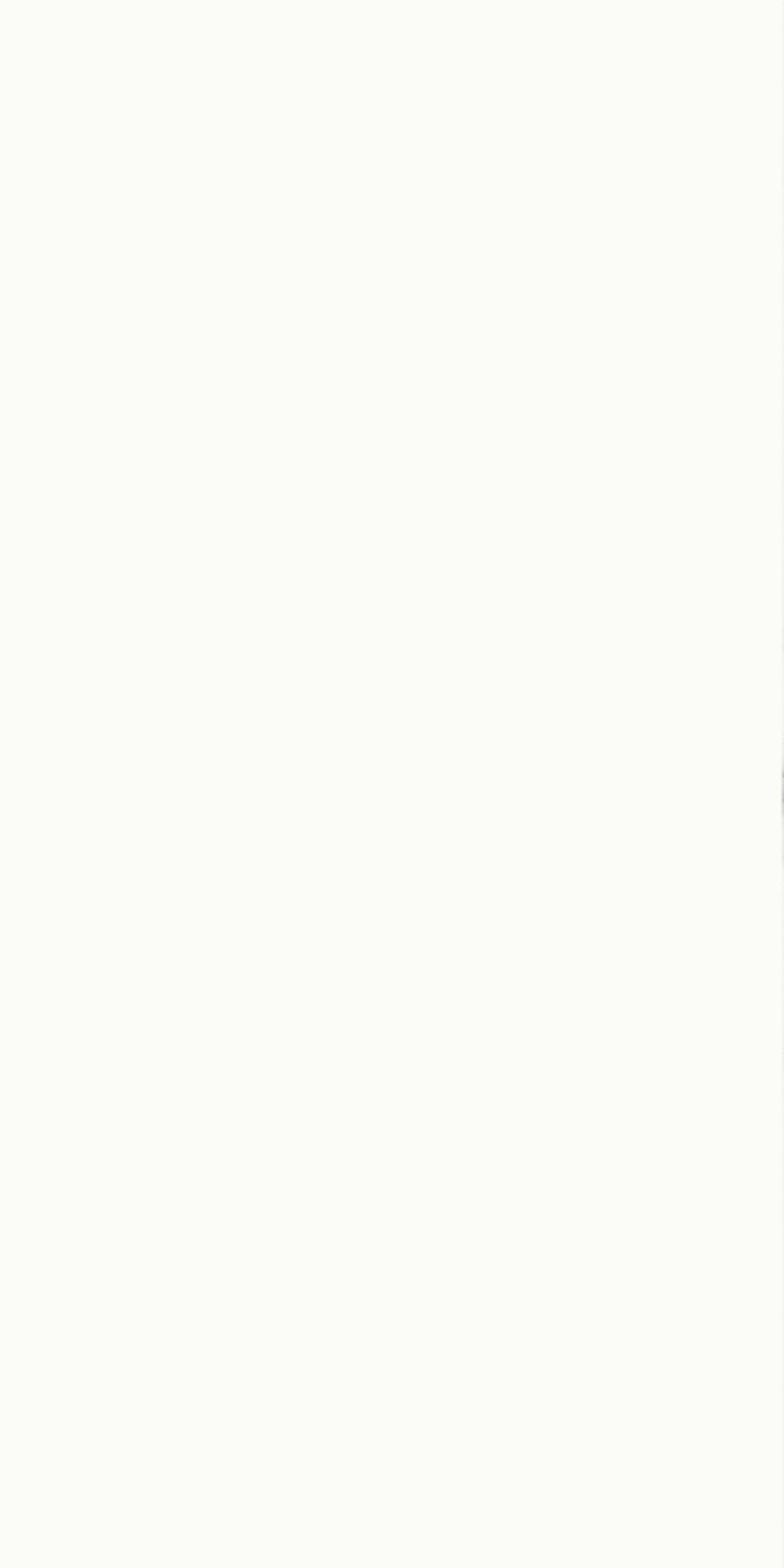 Revet Wandfliese White High Gloss