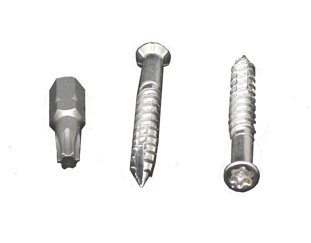 Spezialschraube A4 5,5-45 für Aluschiene 5,5 x 45 mm, Antrieb SIT 20