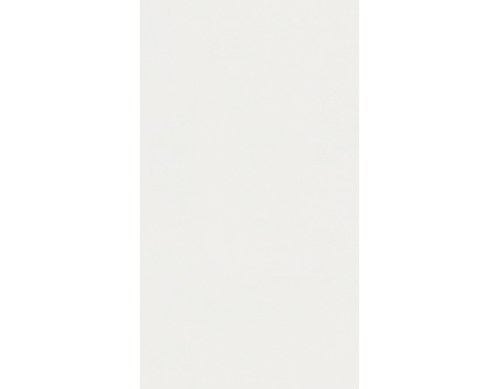 Meister Paneele Bocado DP 250 324 Uni weiß glänzend DF