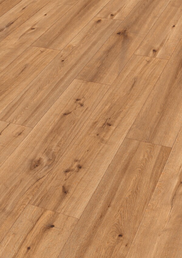 MeisterDesign.allround DD 700 S 7454 Tacoma Oak