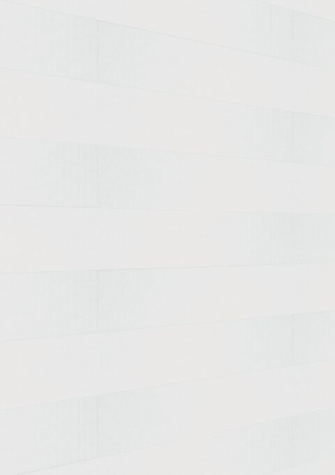 Meister Paneele terra DP 250 White mesh 20101