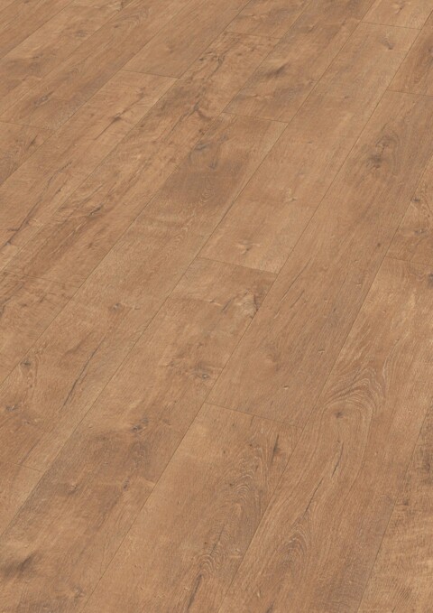 Meister Laminatboden LD 55 6952 Stieleiche natur