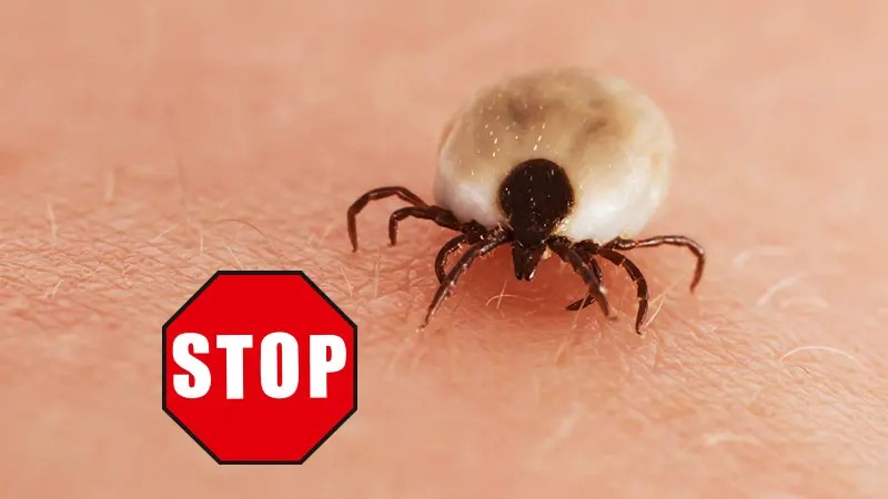 CareLine Insekten-STOP