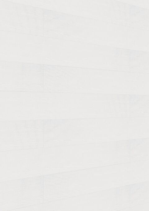 Meister Paneele terra DP 250 White ash 20098