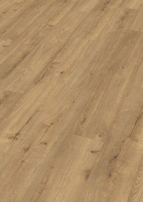 Meister Laminatboden LD 250 7001 Eiche champagne