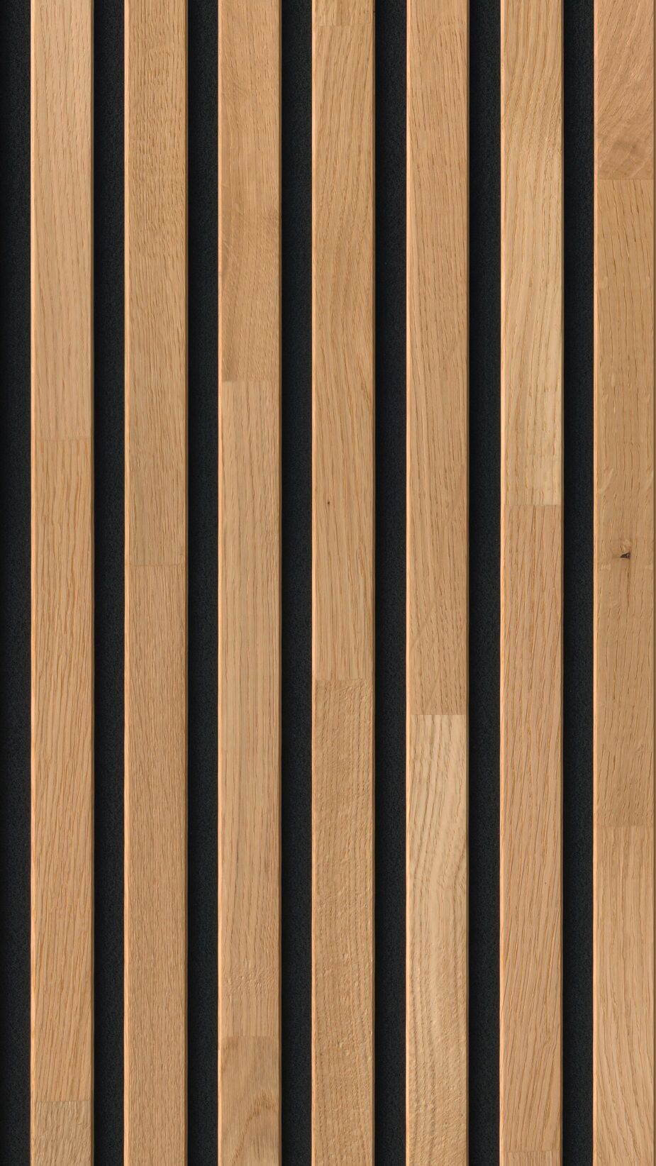 Meister Akustikpaneele Acoustic Sense Wood Eiche natur 04310