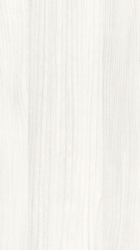 Meister Dekorpaneele Tertio DP 200 Whie wood 20106