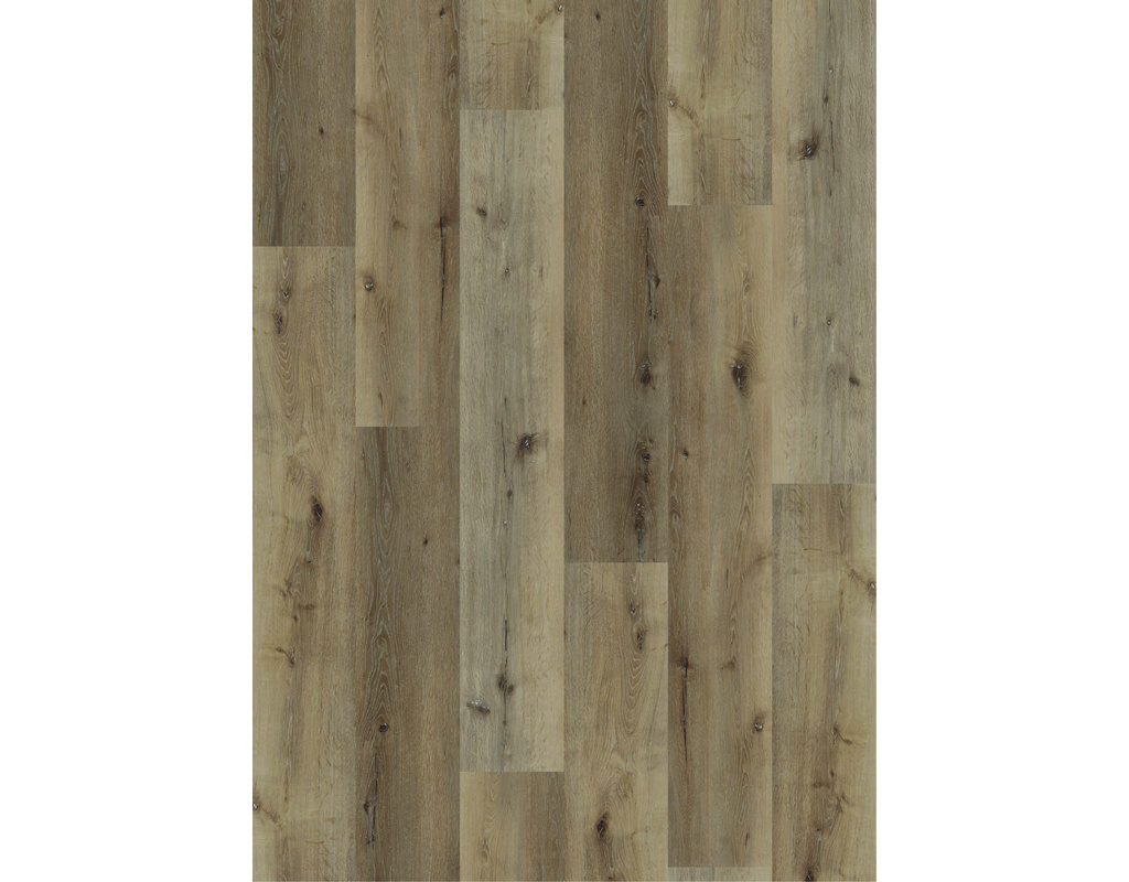 Ziro Vinyl Strong HDF - Vinyl auf HDF-Klick Eiche Gran Canaria Klick-Verlegung - wohnfertig, Kl 23/3