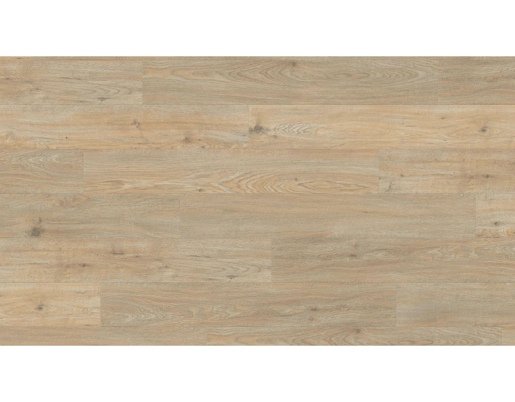Haro DISANO WaveAqua Eiche Quebec alabaster authentic