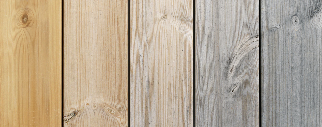 Organowood Nowa aus nord. Kiefer 28 x 145 mm beidseitig glatt