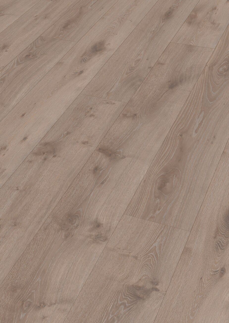Meister Laminatboden LL 250 7143 Bacheiche