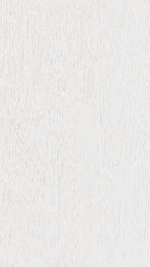 Meister Paneele terra DP 250 White ash 20098