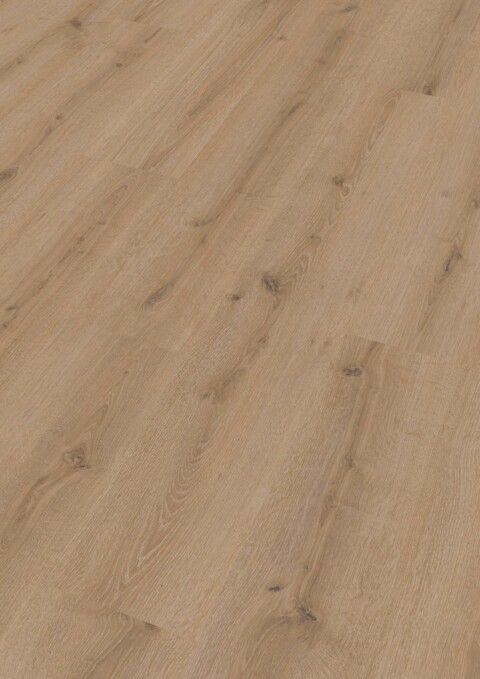 Meister Laminatboden LC 150 Turmeiche creme 7120