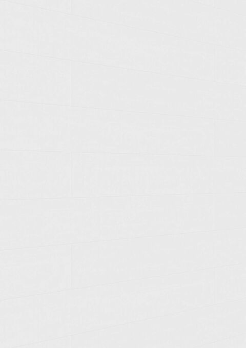 Meister Dekorpaneele Classic Bocado DP 200 20126 White wall