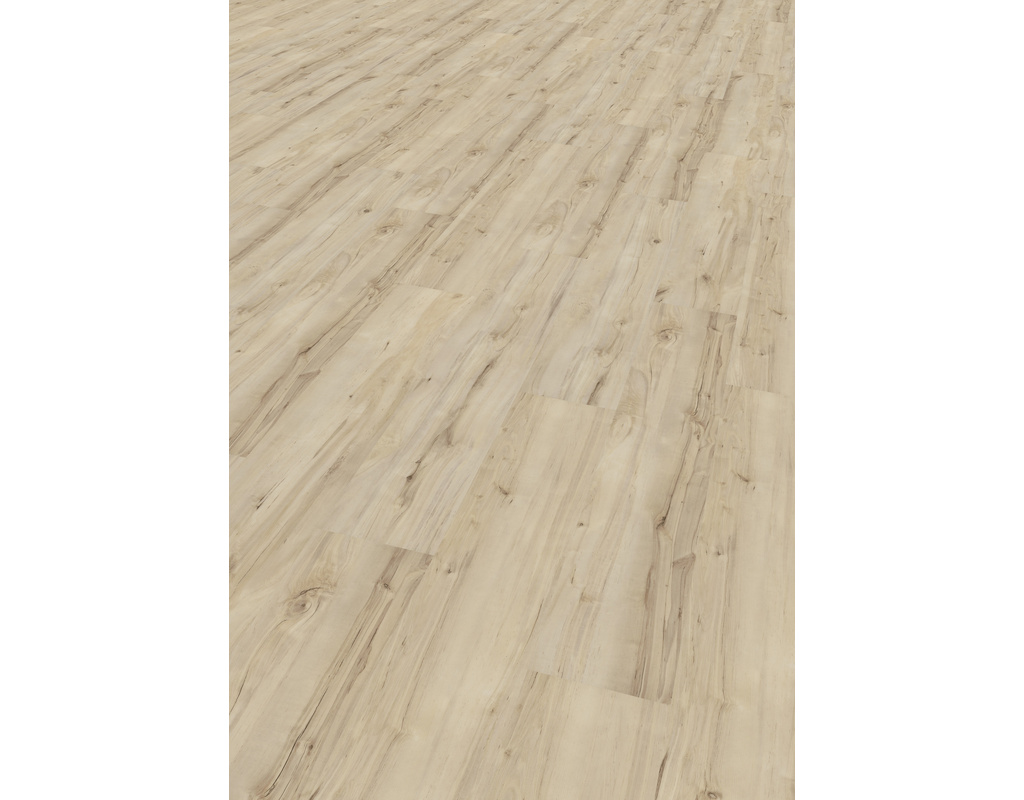 Vinylboden BASIC Birke Portland Diele Holzoptik ungefast Twist PLUS lackiert gebürstet