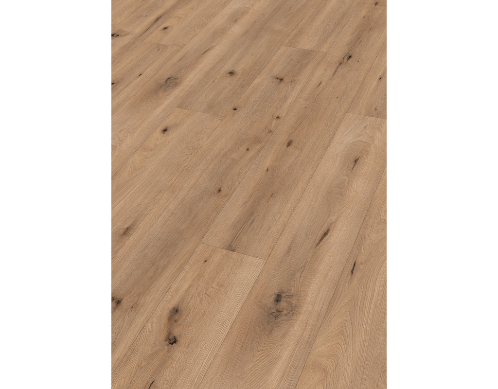 Meister Laminatboden LL 150 6843 Feldeiche hell