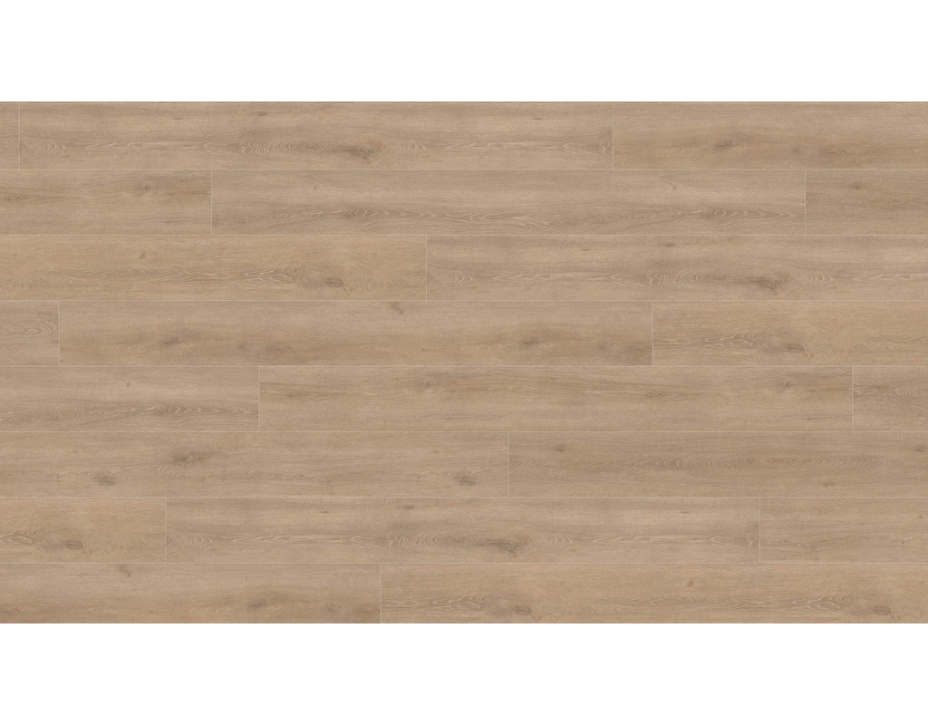 Haro Laminat TRITTY 100 TC Gran Via 4V Eiche Veneto crema auth. matt  2200x243x8mm
