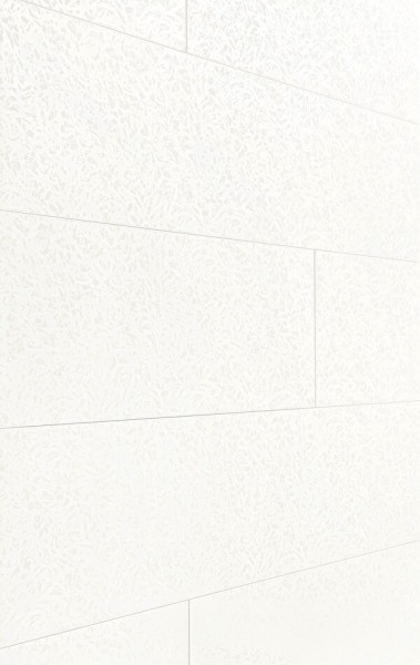Wand & Decke|Dekorpaneele MeisterPaneele. terra DP 250 2050x250x12mm 4089 Duo Gloss White