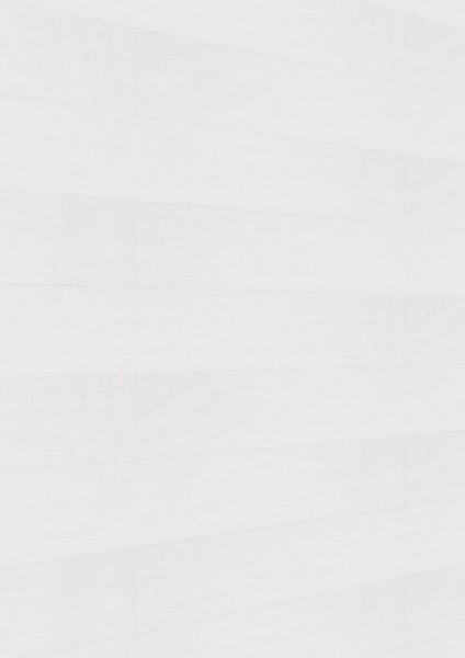 Meister Paneele terra DP 250 White ash 20098