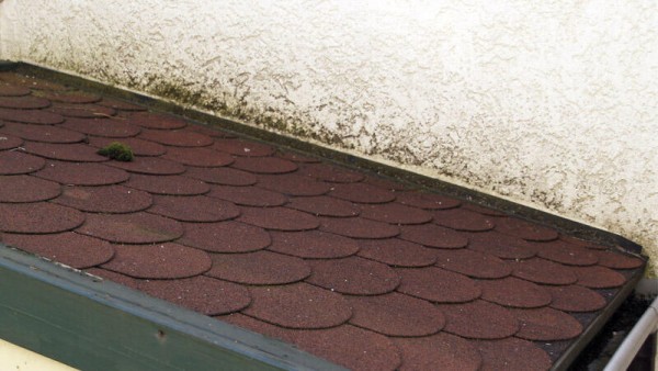 TecLine Grünbelagentferner -Konzentrat- Flasche