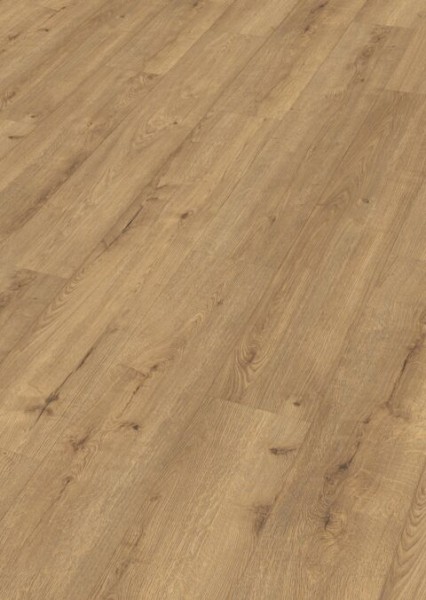 Meister Laminatboden LD 250 7001 Eiche champagne