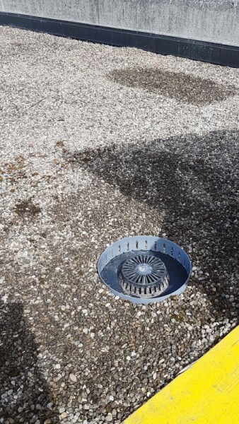 Ferax Ringo Kiesring hellgrau