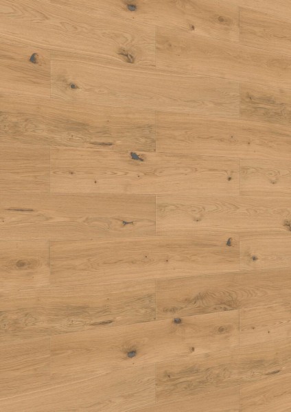 Meister Paneele craft SP 400 Eiche authentic 20129