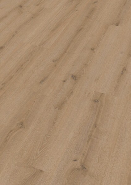 Meister Laminatboden LC 150 Turmeiche creme 7120