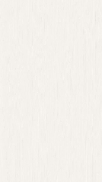 Meister Paneele terra DP 250 Snow white wood 20102