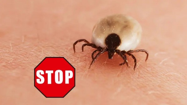 CareLine Insekten-STOP