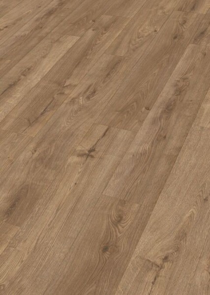 Meister Laminatboden LD 250 7002 Eiche Bernstein