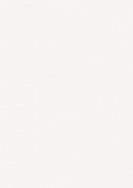 Meister Dekorpaneele Classic Bocado DP 250 20103 Softwood weiß
