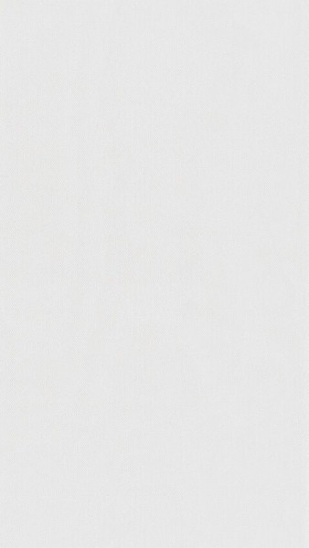 Meister Paneele terra DP 250 White mesh 20101