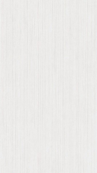 Meister Dekorpaneele Tertio DP 200 Silver linings 20127