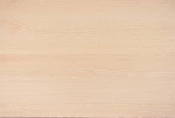 LARBON Treppenstufenplatte Buche 40x1200x650 mm Massicholzplatte durchgehende Lamelle A/B Qualität