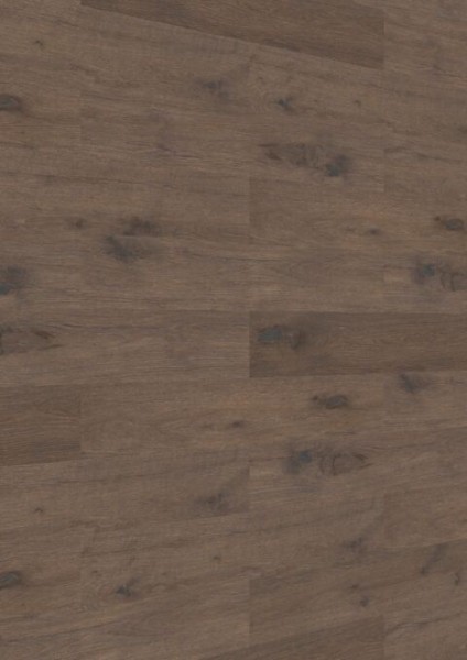 Meister Paneele craft SP 400 Eiche authentic olivgrau 20132