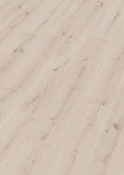 MeisterDesign.next DD 500 S 7119 Turmeiche cremeweiß