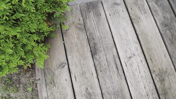 TecLine Holzreiniger Flasche