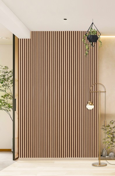 Sonido Elements 2.4 New light oak-Copy