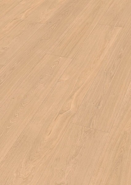Meister Laminatboden LL 250 7144 Taleiche hell