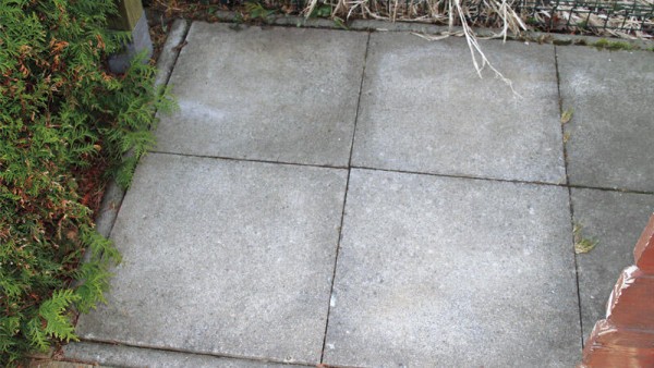 TecLine Grünbelagentferner -Konzentrat- Flasche