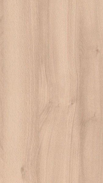 Meister Dekorpaneele Classic Bocado DP 250 4094 Buche pure