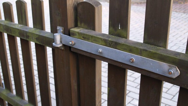 TecLine Grünbelagentferner -Konzentrat- Flasche