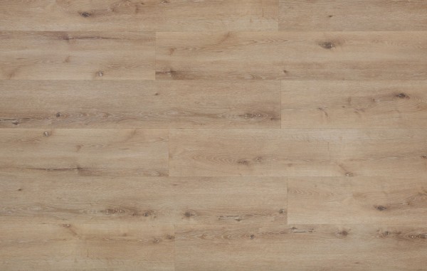 SPC Hybrid Design Floor Wood Line XL Saphir
