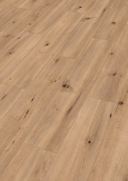 MeisterDesign.next DD 500 S 6843 Feldeiche hell