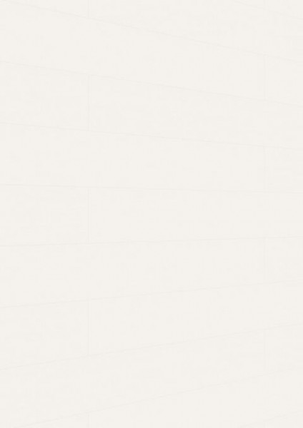 Meister Paneele terra DP 250 Snow white wood 20102