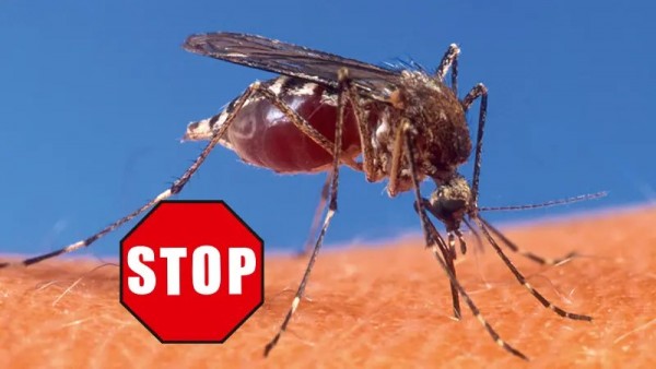 CareLine Insekten-STOP