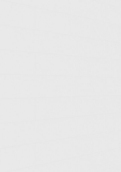 Meister Paneele terra DP 250 White Pearl 20097