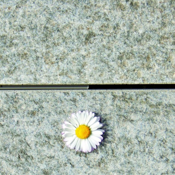 Ferax steinfix® Fugenprofil